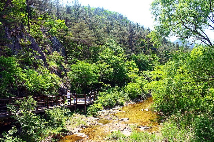계룡산 수통골 여행 추천 - 메고지고 계룡산 수통골 여행 추천 - 메고지고