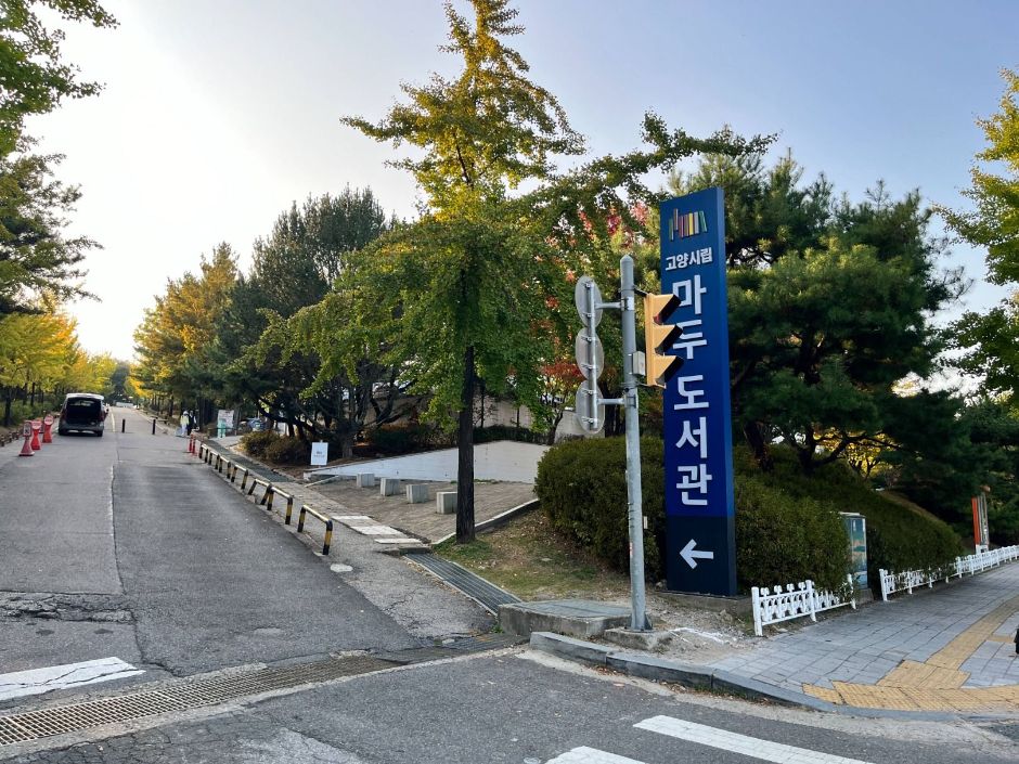 고양시립마두도서관 여행 추천 - 메고지고 고양시립마두도서관 여행 추천 - 메고지고