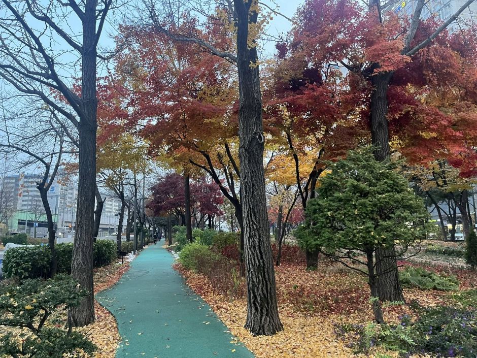 구로거리공원 여행 추천 - 메고지고 구로거리공원 여행 추천 - 메고지고