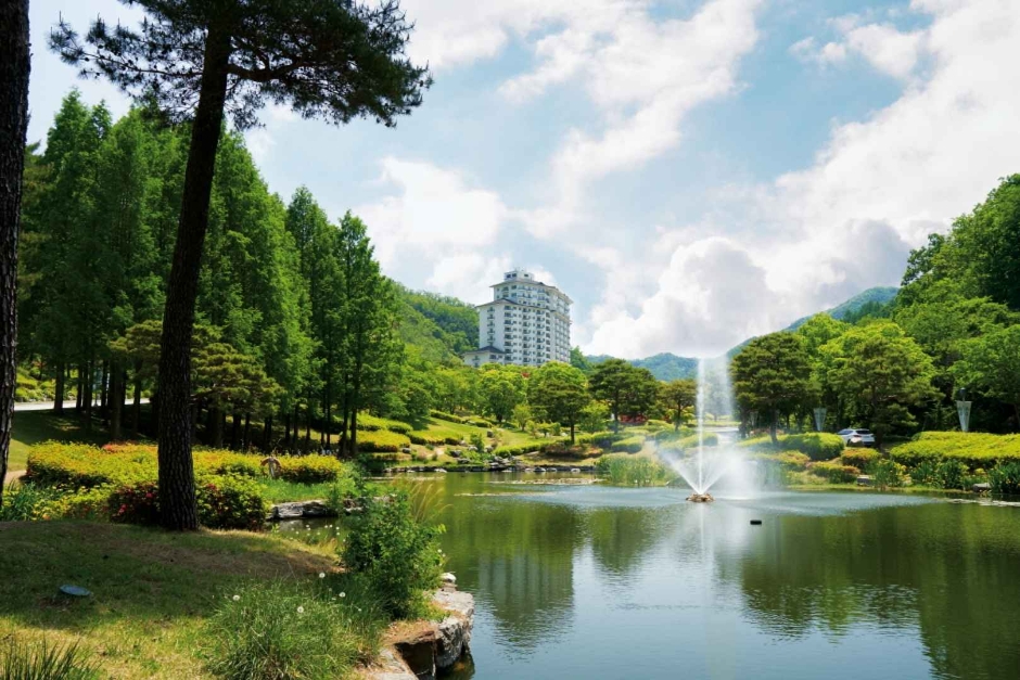 엘리시안 강촌 여행 추천 - 메고지고 엘리시안 강촌 여행 추천 - 메고지고