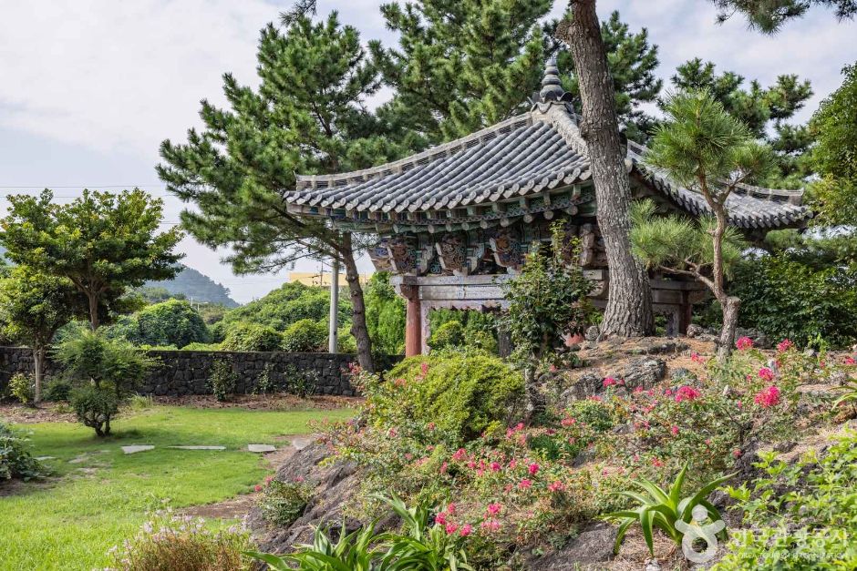 금룡사(제주) 여행 추천 - 메고지고 금룡사(제주) 여행 추천 - 메고지고