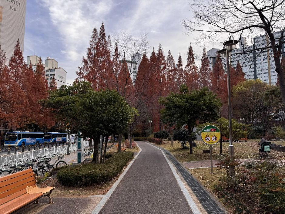 월영연못공원 여행 추천 - 메고지고 월영연못공원 여행 추천 - 메고지고
