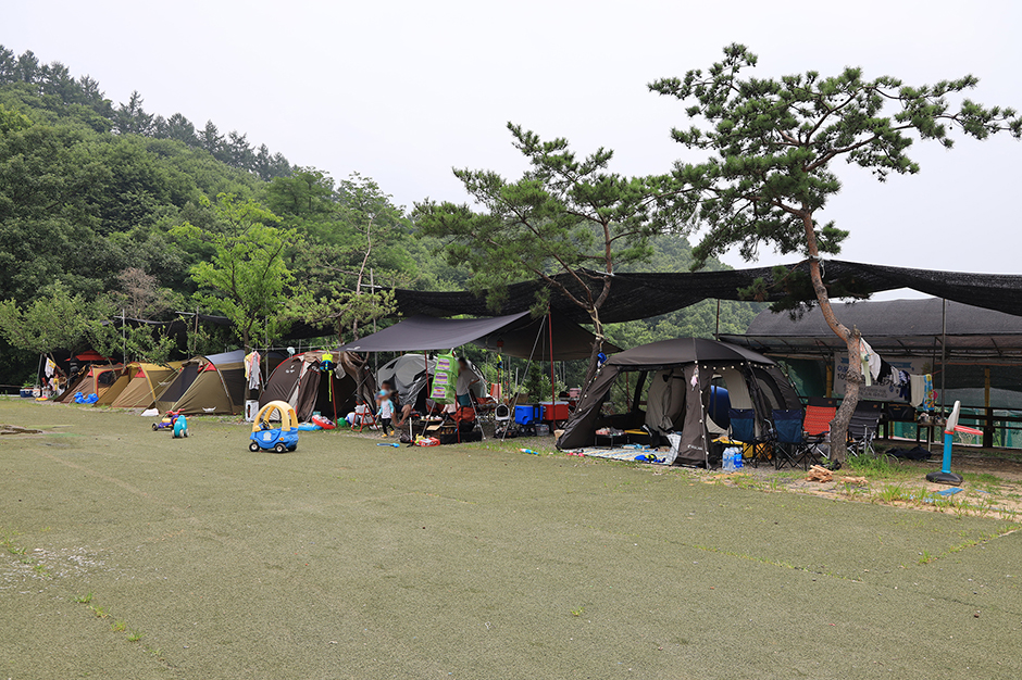 배나무꽃캠핑장 여행 추천 - 메고지고 배나무꽃캠핑장 여행 추천 - 메고지고