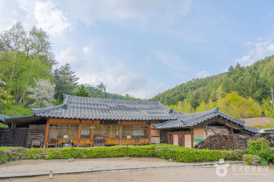 이효석문화마을 여행 추천 - 메고지고