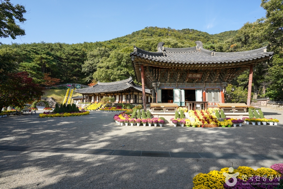 도리사(구미) 여행 추천 - 메고지고 도리사(구미) 여행 추천 - 메고지고
