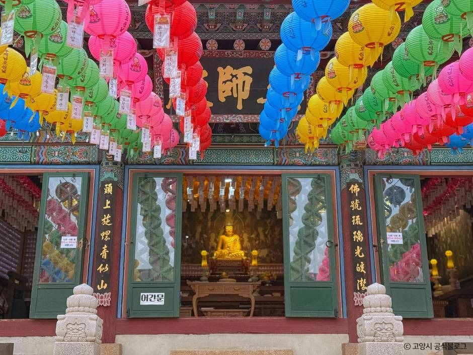 흥국사(고양) 여행 추천 - 메고지고