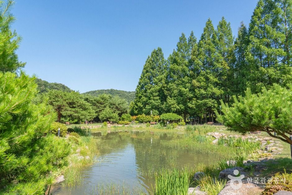 직지문화공원 여행 추천 - 메고지고 직지문화공원 여행 추천 - 메고지고