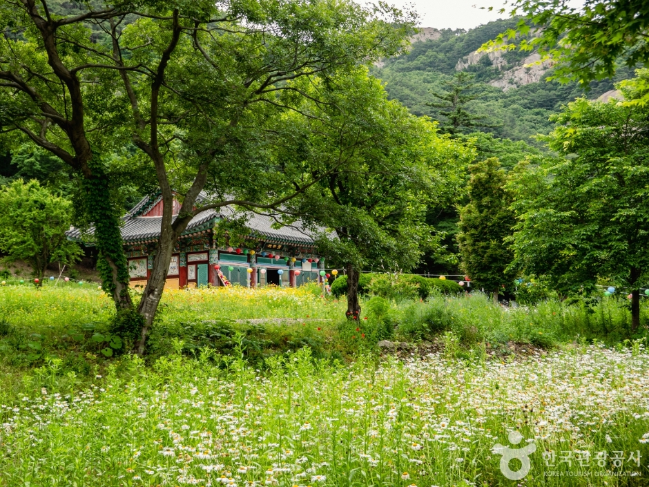 봉래구곡 여행 추천 - 메고지고