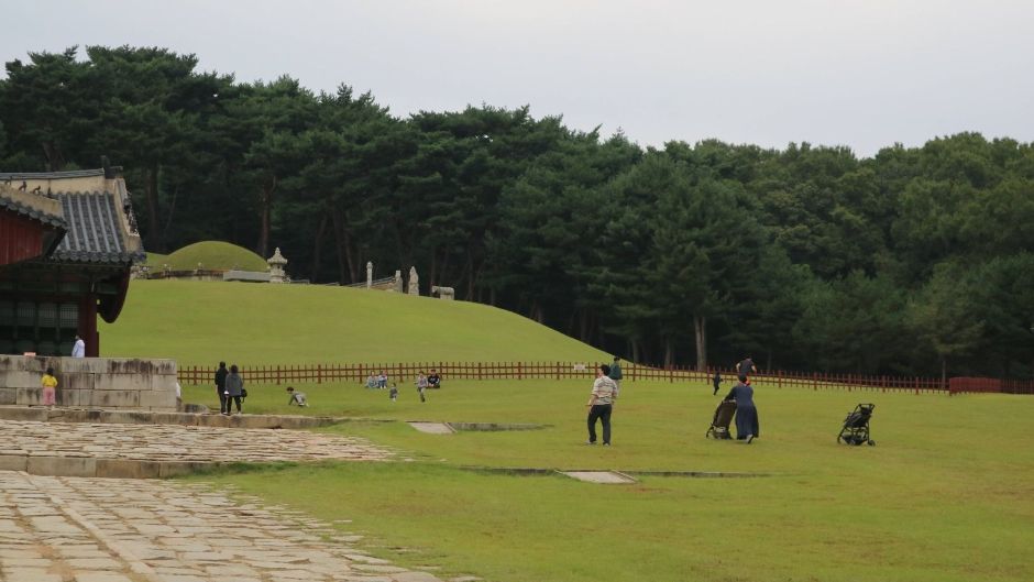 화성 융건릉 여행 추천 - 메고지고 화성 융건릉 여행 추천 - 메고지고