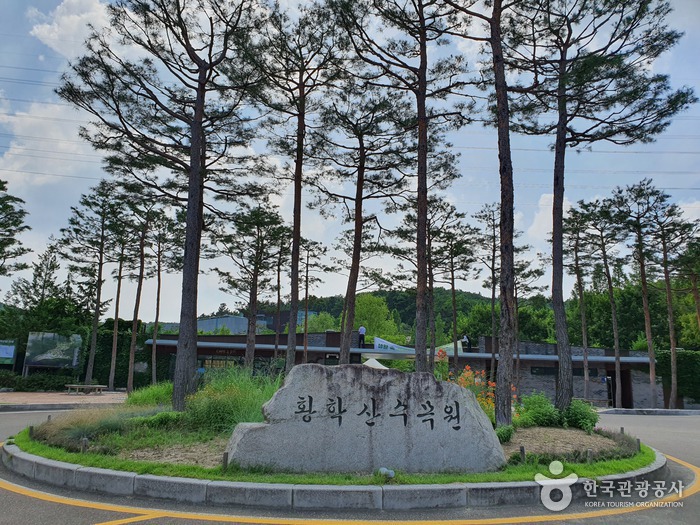 황학산수목원 여행 추천 - 메고지고 황학산수목원 여행 추천 - 메고지고