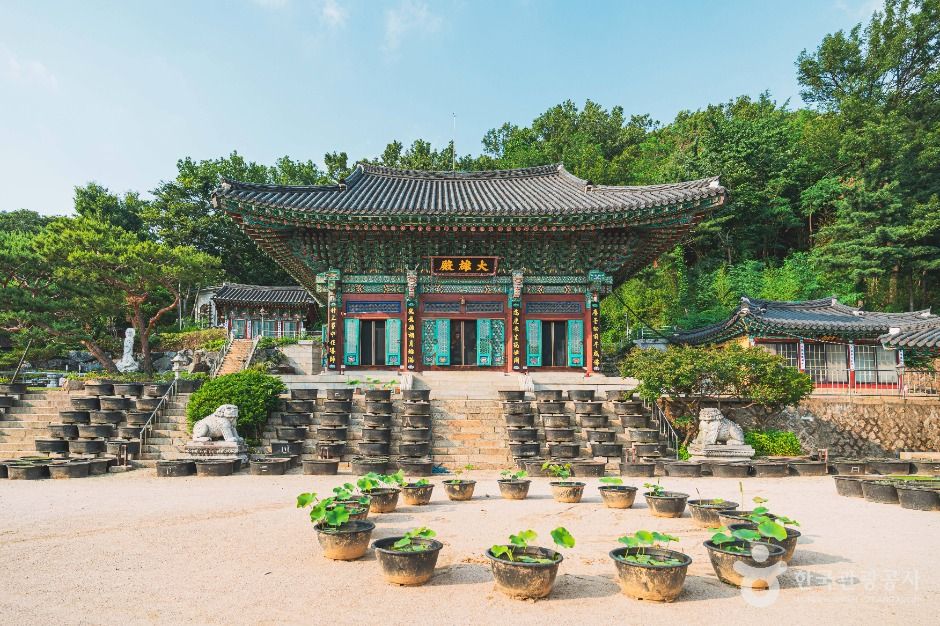 봉원사(서울) 여행 추천 - 메고지고 봉원사(서울) 여행 추천 - 메고지고