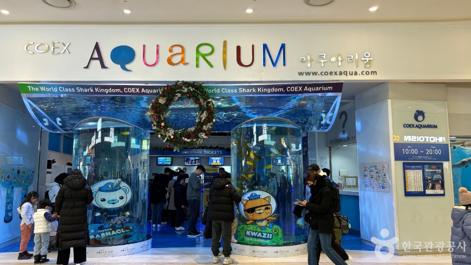 코엑스 아쿠아리움 여행 추천 - 메고지고 코엑스 아쿠아리움 여행 추천 - 메고지고