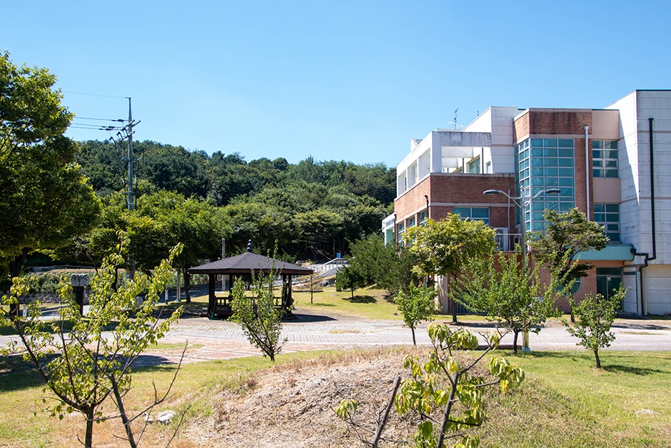 호법레포츠공원 여행 추천 - 메고지고 호법레포츠공원 여행 추천 - 메고지고
