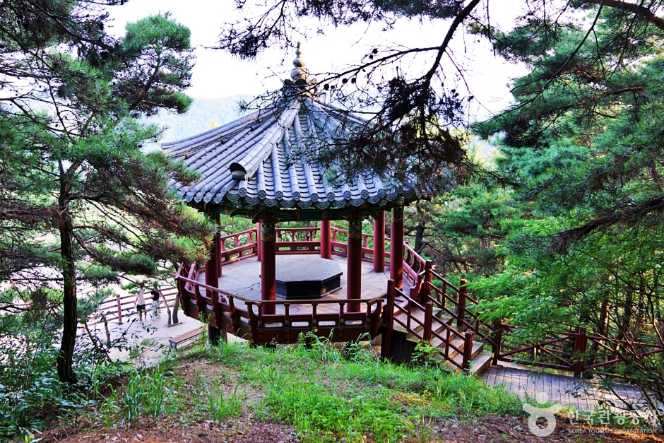 회룡포전망대 여행 추천 - 메고지고 회룡포전망대 여행 추천 - 메고지고