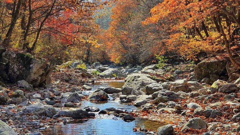 경반계곡 여행 추천 - 메고지고 경반계곡 여행 추천 - 메고지고