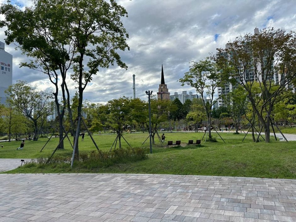 대유평공원 여행 추천 - 메고지고 대유평공원 여행 추천 - 메고지고
