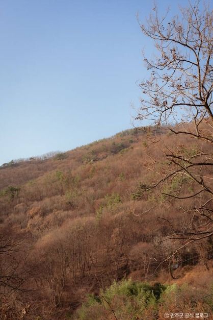 원등산 여행 추천 - 메고지고 원등산 여행 추천 - 메고지고