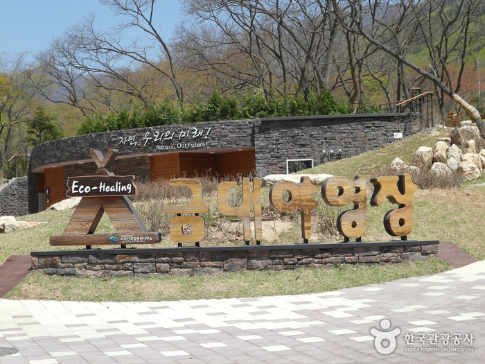 금대 에코힐링 캠핑장 여행 추천 - 메고지고 금대 에코힐링 캠핑장 여행 추천 - 메고지고