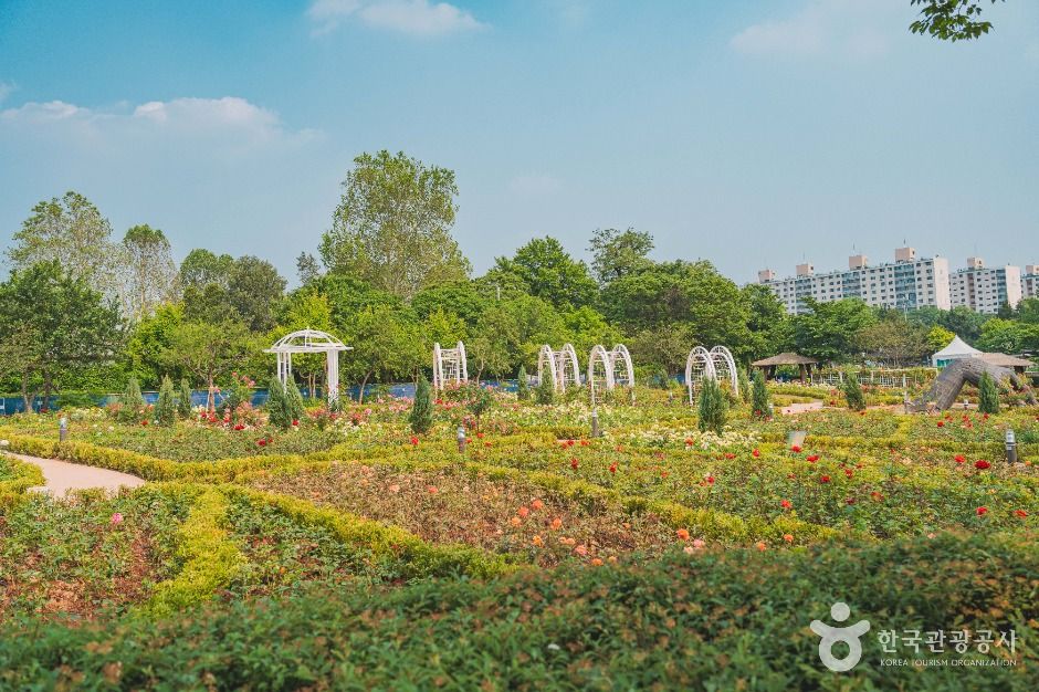 용산가족공원 여행 추천 - 메고지고 용산가족공원 여행 추천 - 메고지고