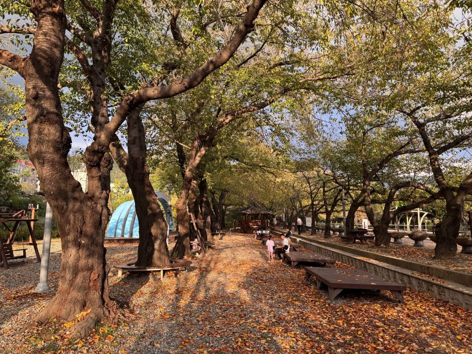 경화역공원 여행 추천 - 메고지고 경화역공원 여행 추천 - 메고지고
