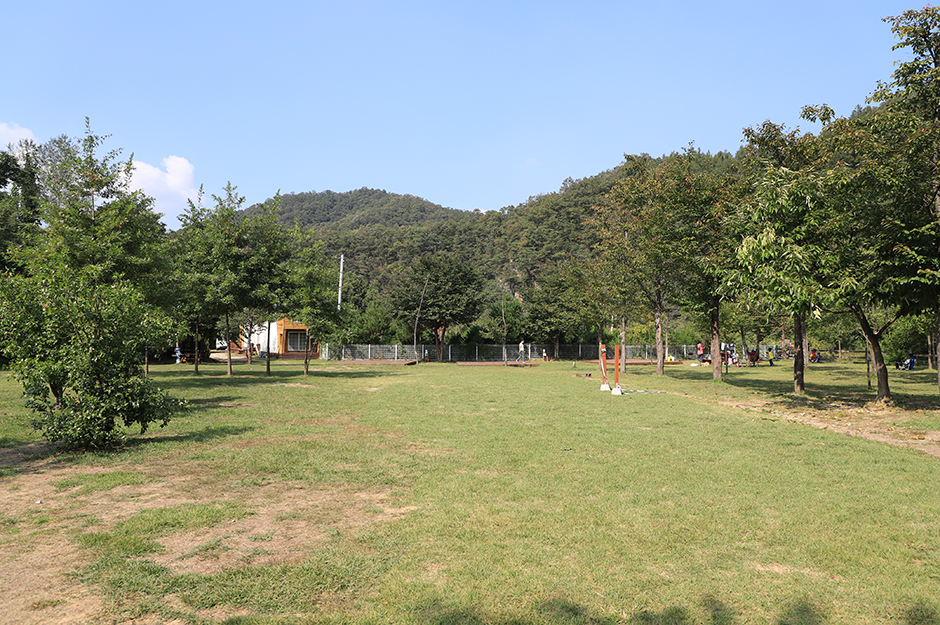 비발디캠핑파크 여행 추천 - 메고지고 비발디캠핑파크 여행 추천 - 메고지고