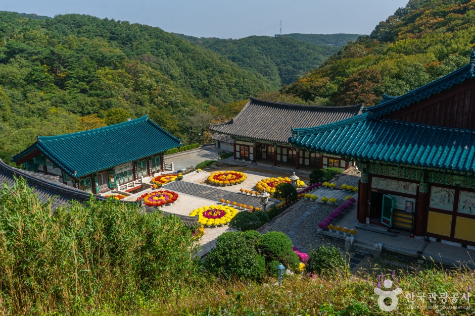 신흥사(울산) 여행 추천 - 메고지고