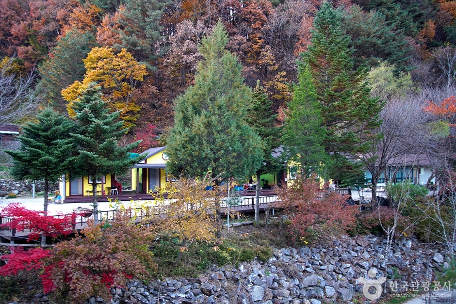 홍천 살둔마을 여행 추천 - 메고지고