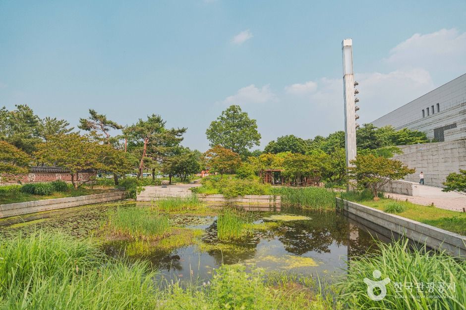 국립중앙박물관 전통염료식물원 여행 추천 - 메고지고 국립중앙박물관 전통염료식물원 여행 추천 - 메고지고