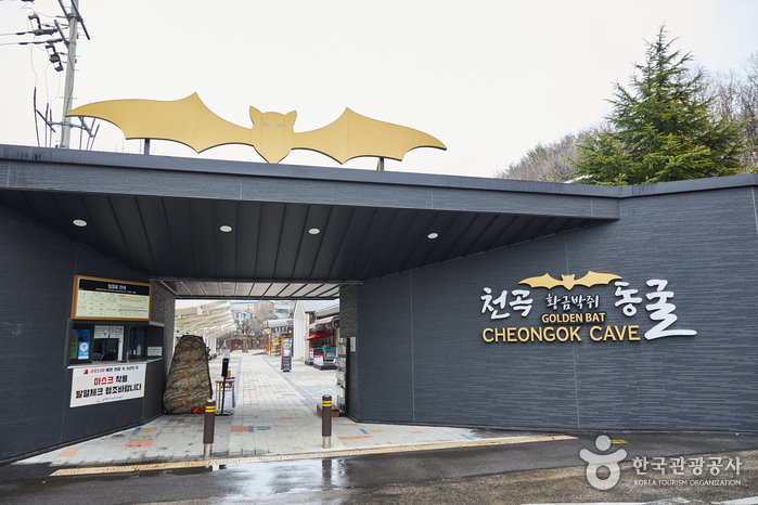 천곡황금박쥐동굴 여행 추천 - 메고지고