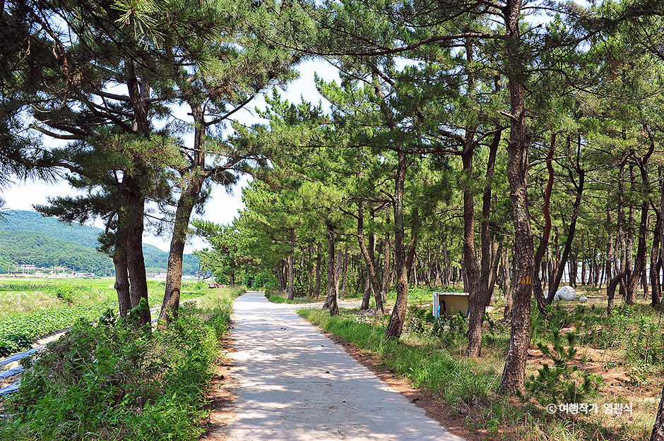 [해파랑길] 48코스 여행 추천 - 메고지고