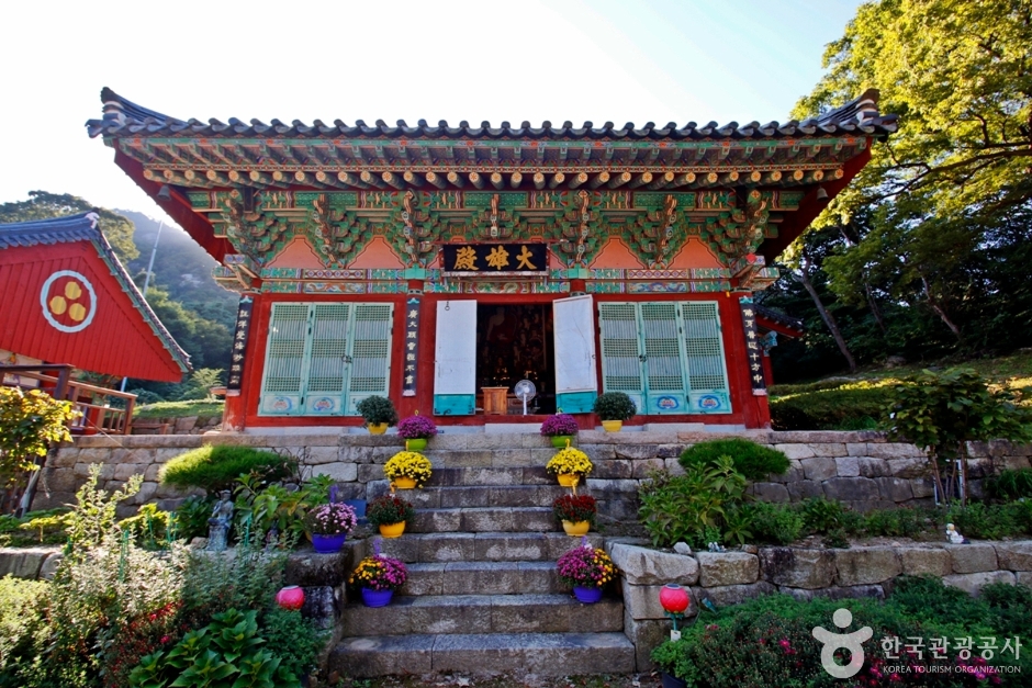 영국사(영동) 여행 추천 - 메고지고