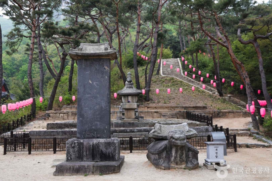 양주 회암사지 여행 추천 - 메고지고 양주 회암사지 여행 추천 - 메고지고