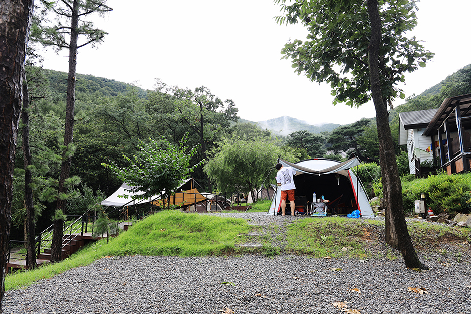 용인자연숲캠핑장 여행 추천 - 메고지고