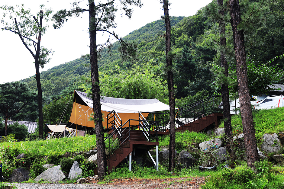 용인자연숲캠핑장 여행 추천 - 메고지고