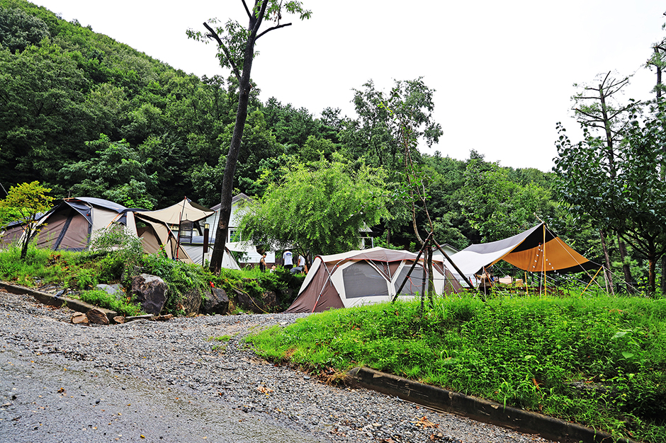 용인자연숲캠핑장 여행 추천 - 메고지고
