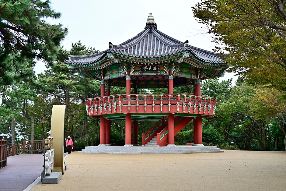 달맞이동산 여행 추천 - 메고지고 달맞이동산 여행 추천 - 메고지고