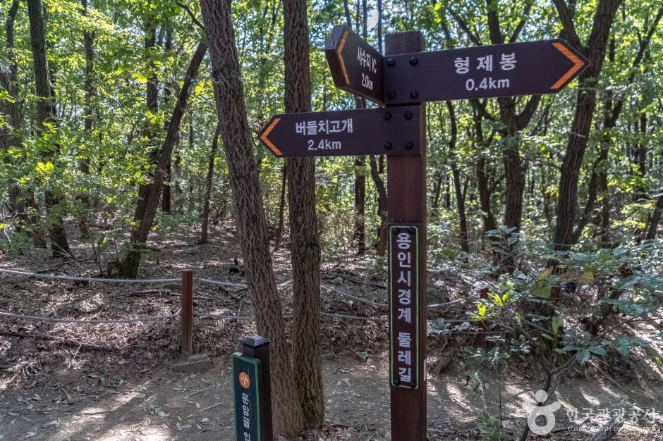 광교산 형제봉 여행 추천 - 메고지고 광교산 형제봉 여행 추천 - 메고지고