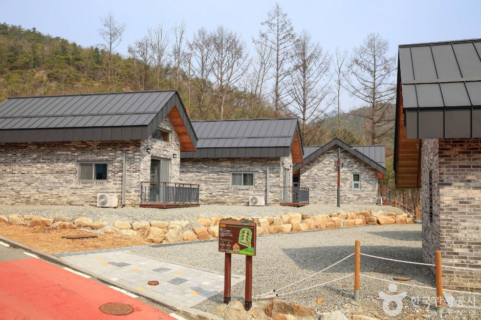 국립춘천숲체원 여행 추천 - 메고지고 국립춘천숲체원 여행 추천 - 메고지고