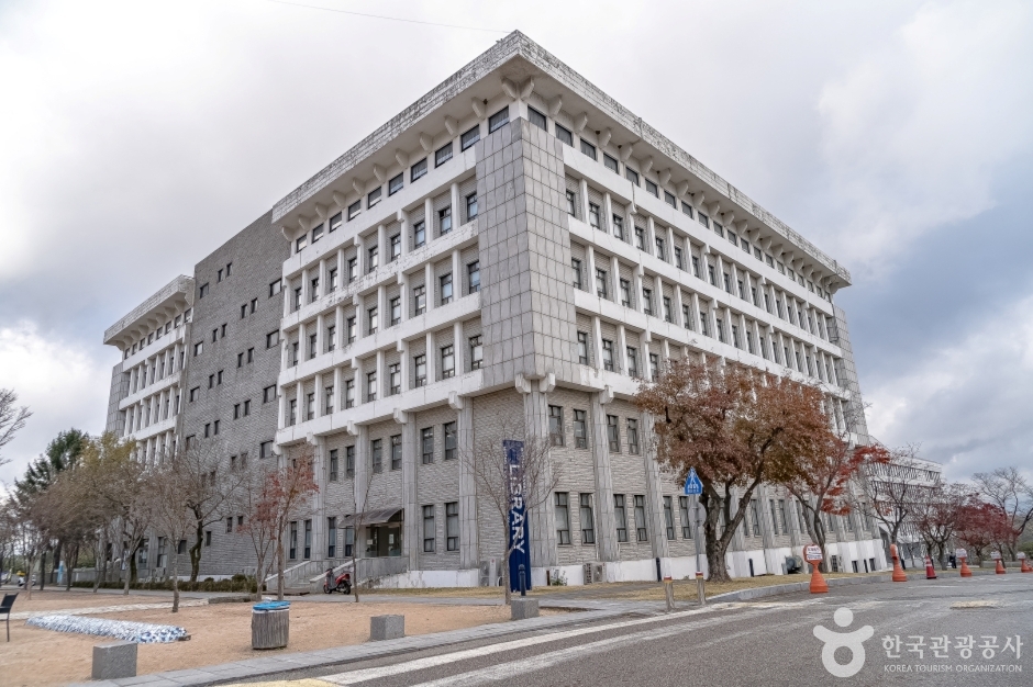 명지대학교 박물관 여행 추천 - 메고지고 명지대학교 박물관 여행 추천 - 메고지고