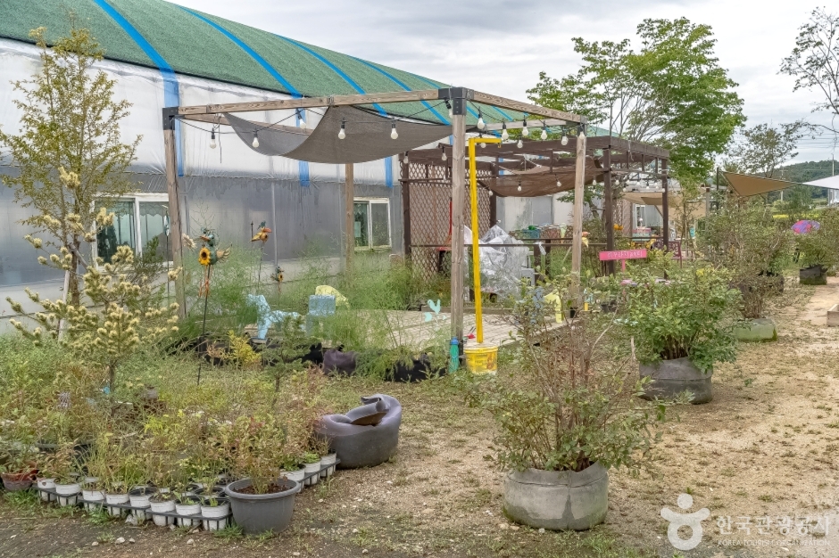 용인청정팜 여행 추천 - 메고지고 용인청정팜 여행 추천 - 메고지고