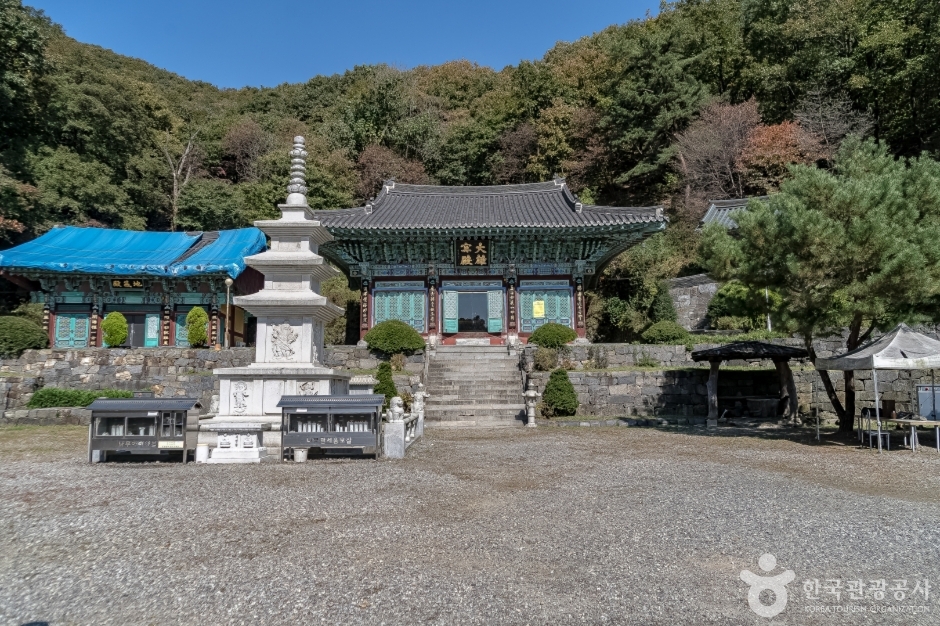 백련사(용인) 여행 추천 - 메고지고 백련사(용인) 여행 추천 - 메고지고