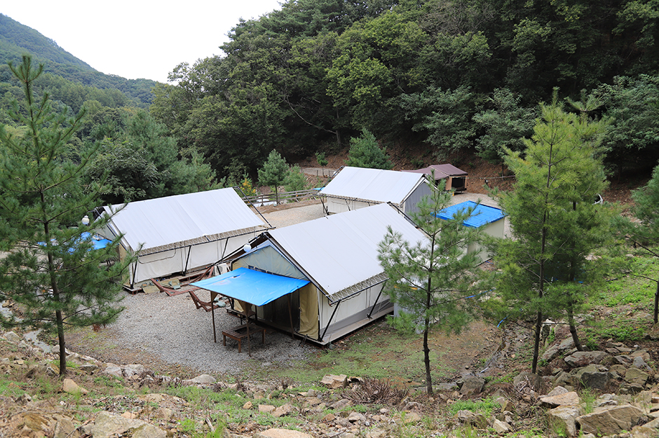 숲속의쉼터 여행 추천 - 메고지고 숲속의쉼터 여행 추천 - 메고지고