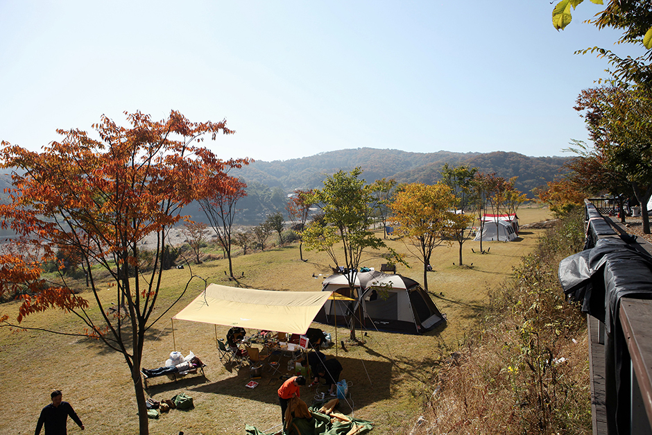 캠핑브릿지 여행 추천 - 메고지고 캠핑브릿지 여행 추천 - 메고지고