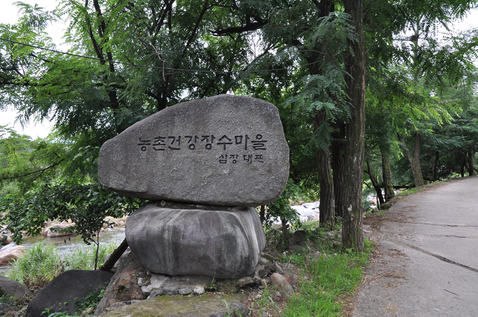 대포숲 여행 추천 - 메고지고 대포숲 여행 추천 - 메고지고