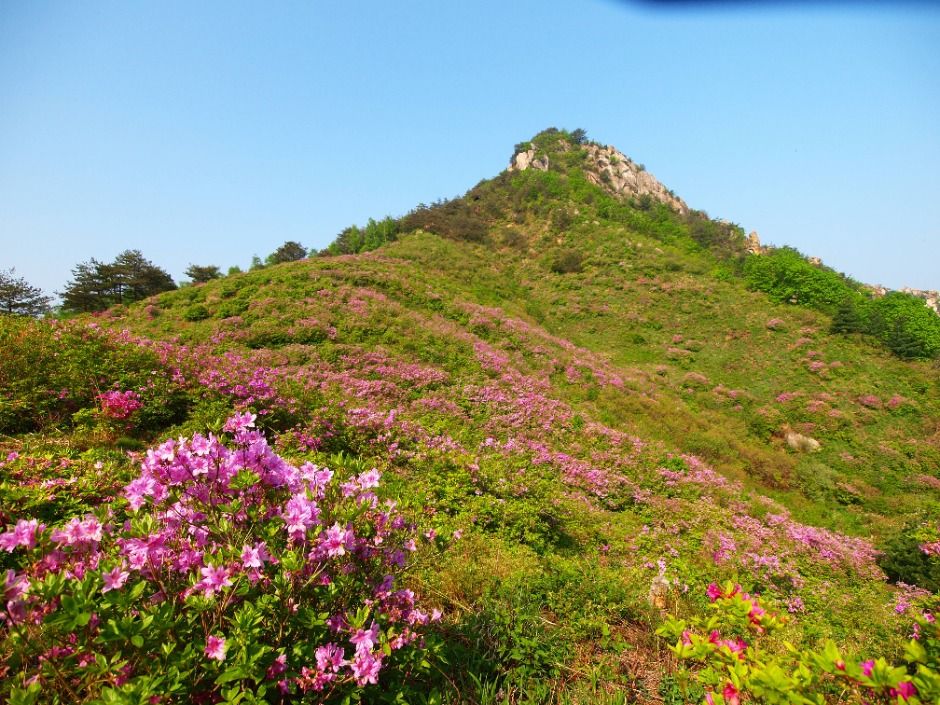 월여산 여행 추천 - 메고지고 월여산 여행 추천 - 메고지고