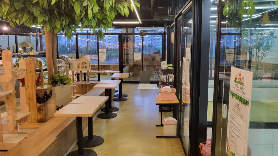 마리앤쥬 여행 추천 - 메고지고 마리앤쥬 여행 추천 - 메고지고