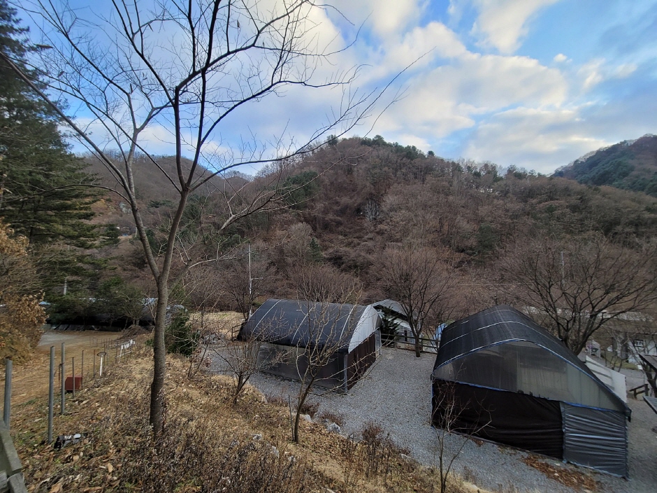 별드림캠핑장 여행 추천 - 메고지고