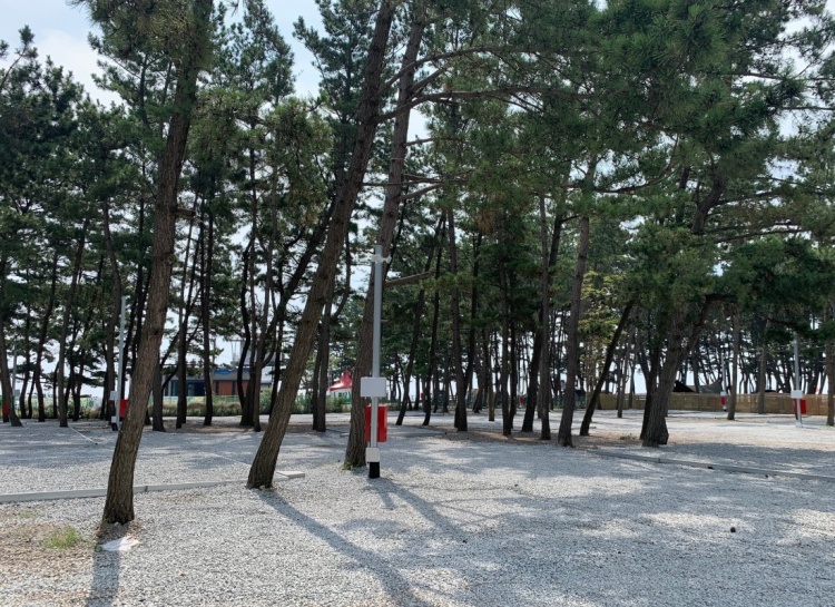 몽산포그린캠핑장 여행 추천 - 메고지고 몽산포그린캠핑장 여행 추천 - 메고지고
