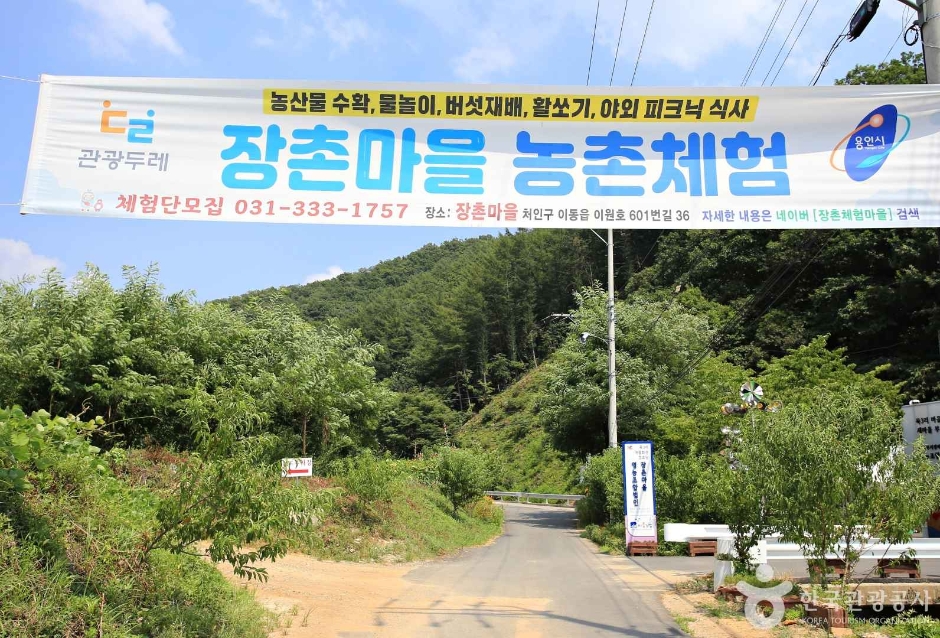 영농조합 장촌마을 여행 추천 - 메고지고 영농조합 장촌마을 여행 추천 - 메고지고