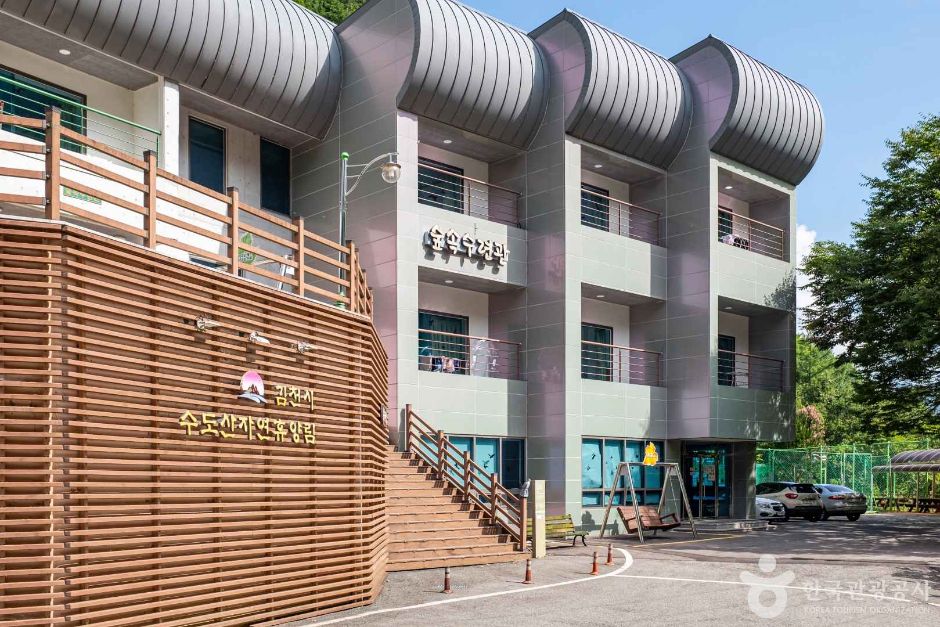 수도산자연휴양림 여행 추천 - 메고지고